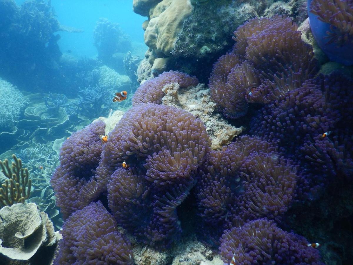 Hotel CasaVelion Karimunjawa Esterno foto