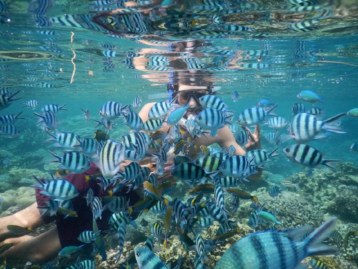 Hotel CasaVelion Karimunjawa Esterno foto
