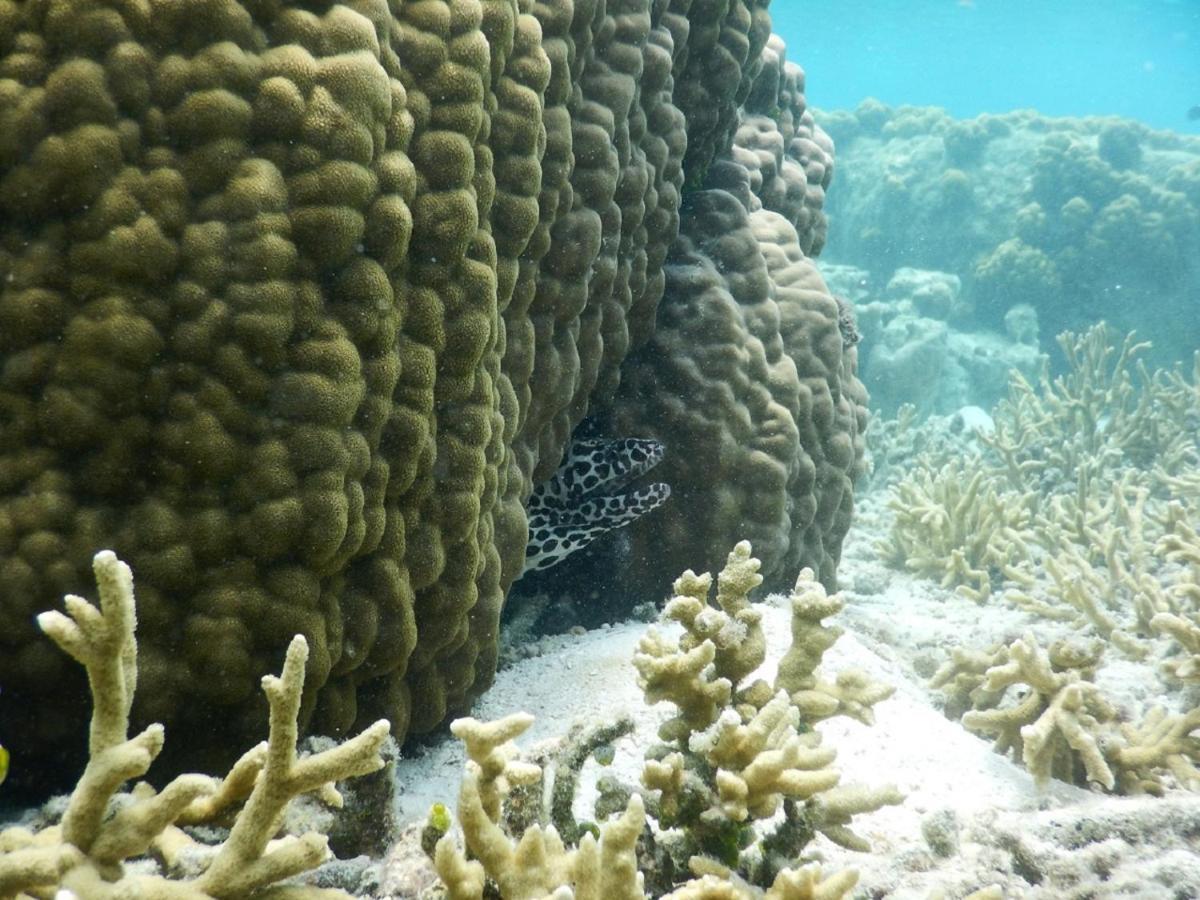 Hotel CasaVelion Karimunjawa Esterno foto