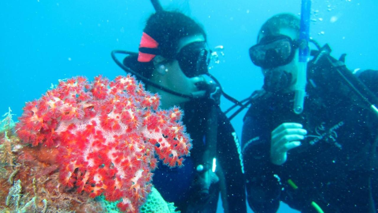 Hotel CasaVelion Karimunjawa Esterno foto